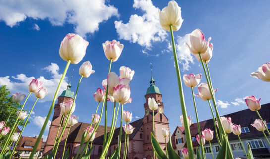 WELLNESSHOTEL HOHENRODT Loßburg