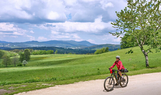 ACHAT HOTEL WALDKIRCHEN (B&B) Waldkirchen