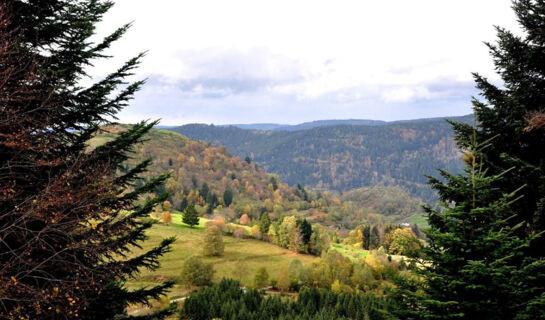 HOTEL LA VIGOTTE Girmont-Val-d'Ajol