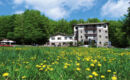 HOTEL LE MACINAIE (B&B) Castel del Piano (GR)