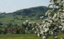 HOTEL SOCKENBACHER HOF Waldbrunn