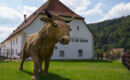 AUBERGE DE BELLELAY - HOTEL DE L'OURS (B&B) Saicourt