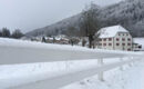 AUBERGE DE BELLELAY - HOTEL DE L'OURS (B&B) Saicourt