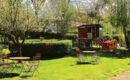 LANDGASTHAUS ALTER POSTHOF (B&B) Halsenbach