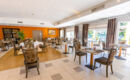 HOTEL MERCURE CASTRES L'OCCITAN Castres