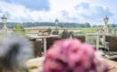 RINGHOTEL LANDHOTEL BULLER Hagen