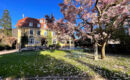 HÔTEL DU PARC Thann