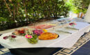 HOTEL VENERE Ascea (SA)