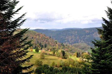 HOTEL LA VIGOTTE Girmont-Val-d'Ajol