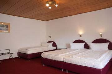 RHEINHOTEL RÜDESHEIM Rüdesheim am Rhein